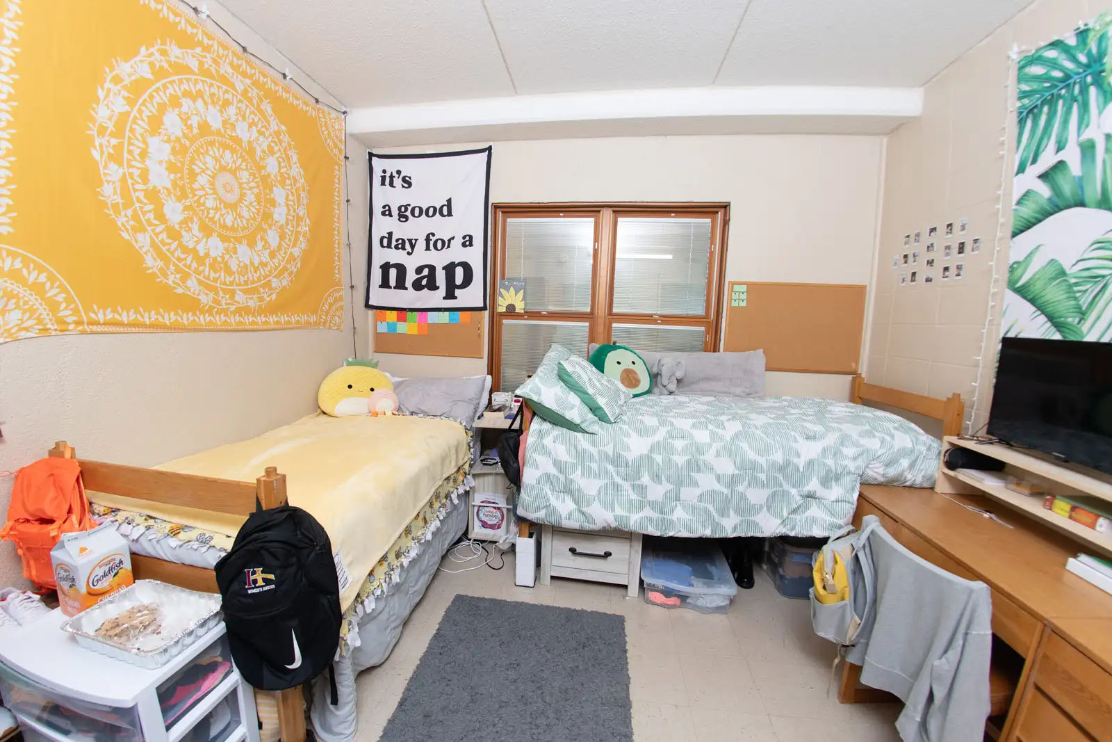 Indian Hills Community College | Student Housing